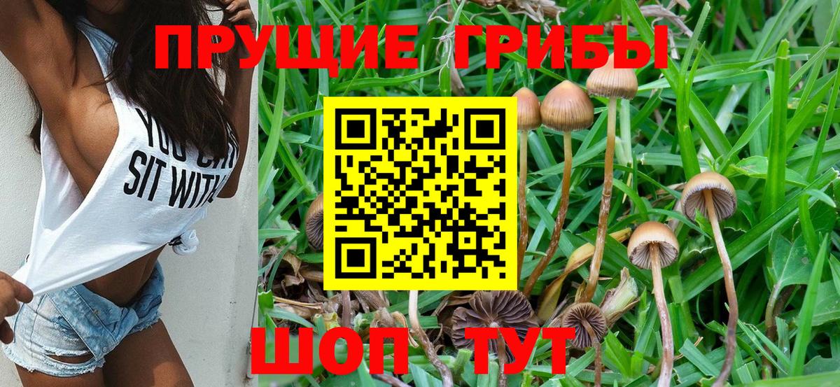 Псилоцибиновые грибы мицелий Костомукша