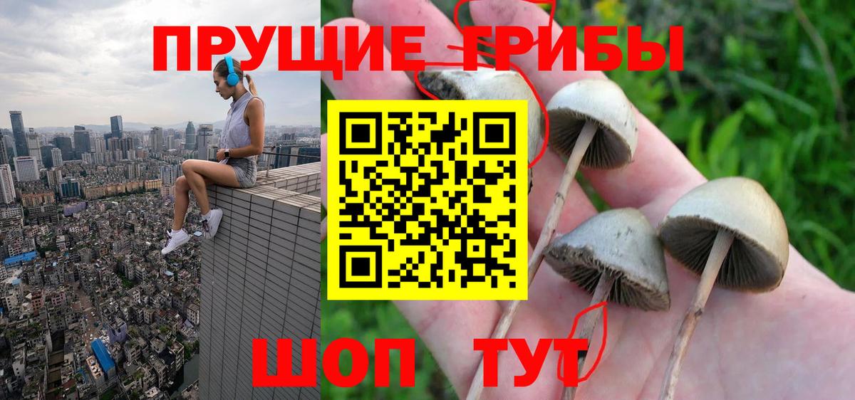 цена наркотик  Псилоцибиновые грибы Psilocybe  Костомукша  Вход с VPN  Галлюциногенные грибы Psilocybine cubensis 